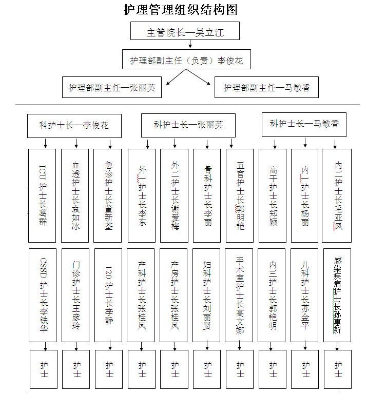 护理管理-护理管理组织结构图